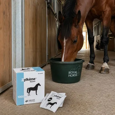 VETOQUINOL - Poudre Orale - Zylkene Equi-Win VETOQUINOL - Poudre Orale - Zylkene Equi-Win
