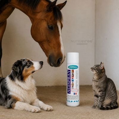 BONNE - Spray Protecteur Plaies Superficielles AGISPRAY