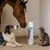 BONNE - Spray Protecteur Plaies Superficielles AGISPRAY BONNE - Spray Protecteur Plaies Superficielles AGISPRAY