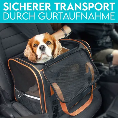 HUND IST KÖNIG Hundetasche & Katzentasche bis 6,5 kg, leicht & faltbar HUND IST KÖNIG Hundetasche & Katzentasche bis 6,5 kg, leicht & faltbar
