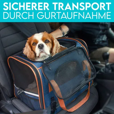 HUND IST KÖNIG Hundetasche & Katzentasche bis 8 kg, leicht & faltbar HUND IST KÖNIG Hundetasche & Katzentasche bis 8 kg, leicht & faltbar