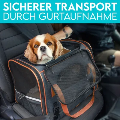 HUND IST KÖNIG Hundetasche & Katzentasche bis 6,5 kg, leicht & faltbar HUND IST KÖNIG Hundetasche & Katzentasche bis 6,5 kg, leicht & faltbar