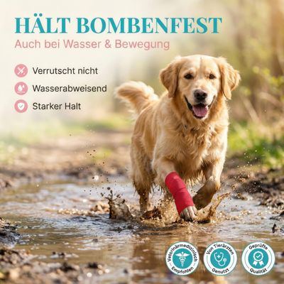 HUND IST KÖNIG selbstklebender Verband, 12 Rollen (4,7m x 10cm) Haftbandage