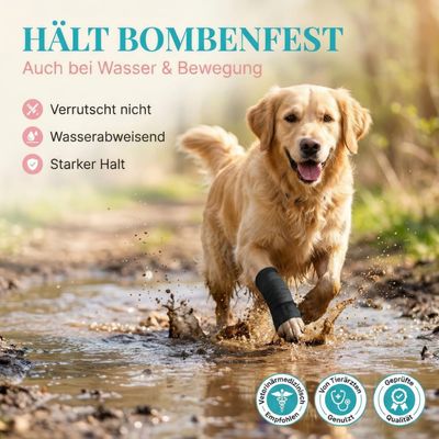 HUND IST KÖNIG selbstklebender Verband, 12 Rollen (4,7m x 10cm) Haftbandage