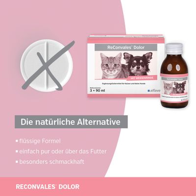 Alfavet ReConvales Dolor