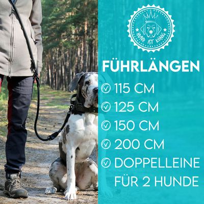 HUND IST KÖNIG robuste Hundeleine 2,3 m aus Kletterseil, 3-fach verstellbar