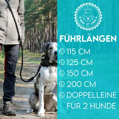 HUND IST KÖNIG robuste Hundeleine 2,3 m aus Kletterseil, 3-fach verstellbar HUND IST KÖNIG robuste Hundeleine 2,3 m aus Kletterseil, 3-fach verstellbar