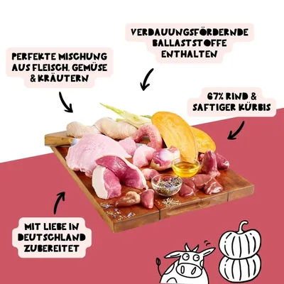 Dogs’n Tiger Guadn Multibox, Hundefutter, Rind & Kürbis Dogs’n Tiger Guadn Multibox, Hundefutter, Rind & Kürbis