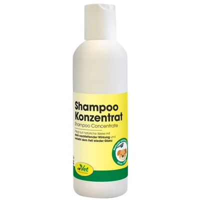 Shampoo Konzentrat