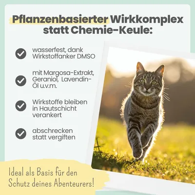 Zpot-on für Katzen mit pflanzenbasierter Rezeptur Zpot-on für Katzen mit pflanzenbasierter Rezeptur