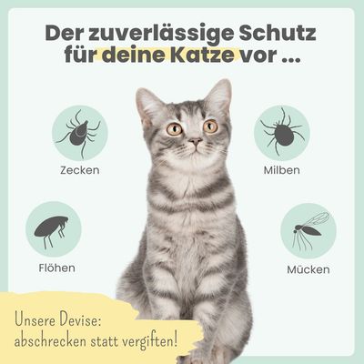 Zpot-on für Katzen mit pflanzenbasierter Rezeptur