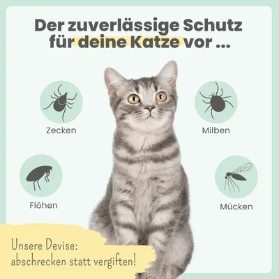 Zpot-on für Katzen mit pflanzenbasierter Rezeptur Zpot-on für Katzen mit pflanzenbasierter Rezeptur