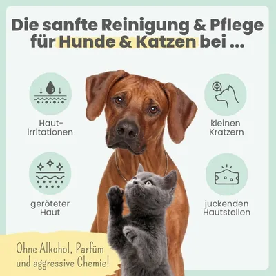 Silberspray für Hunde und Katzen Silberspray für Hunde und Katzen