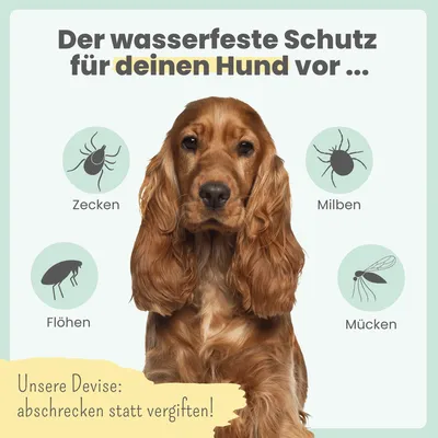 Zpot-on für Hunde Zpot-on für Hunde