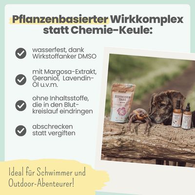 Zpot-on für Hunde