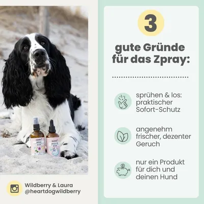 Zpray für Hunde & Menschen gegen Zecken, Flöhe & Mücken Zpray für Hunde & Menschen gegen Zecken, Flöhe & Mücken