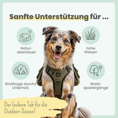 Zistrosen Tabs für Hunde & Katzen