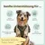 Zistrosen Tabs für Hunde & Katzen Zistrosen Tabs für Hunde & Katzen