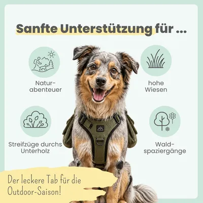 Zistrosen Tabs für Hunde & Katzen Zistrosen Tabs für Hunde & Katzen