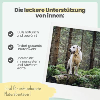 Zistrosen Tabs für Hunde & Katzen