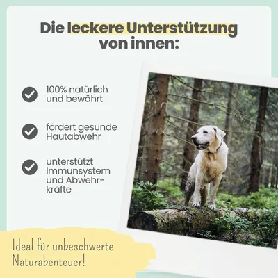 Zistrosen Tabs für Hunde & Katzen Zistrosen Tabs für Hunde & Katzen