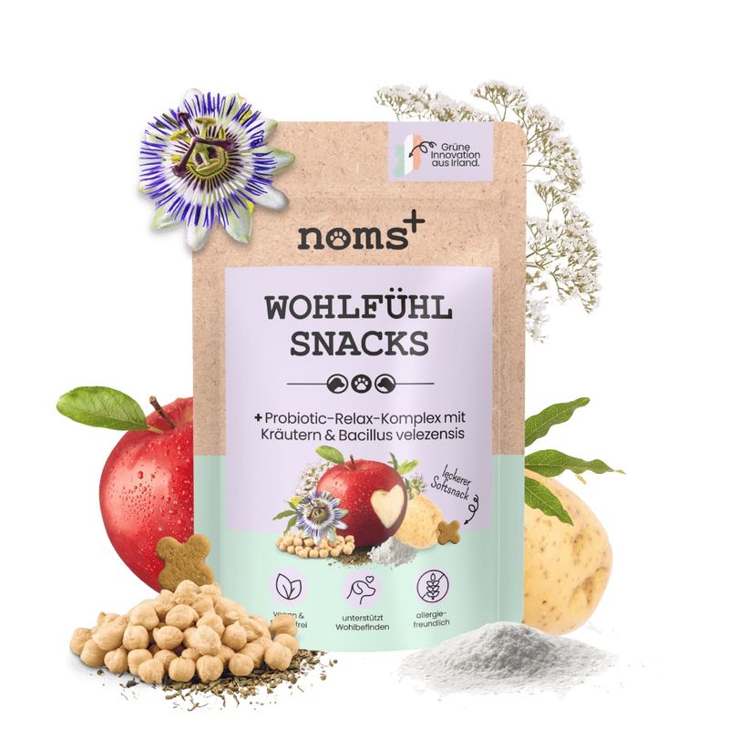 Wohlfühlsnacks für Hunde mit Probiotika bei Stress & Angst