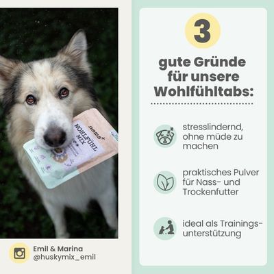 Wohlfühlmix für Hunde & Katzen bei Stress & Angst