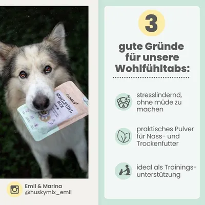 Wohlfühlmix für Hunde & Katzen bei Stress & Angst Wohlfühlmix für Hunde & Katzen bei Stress & Angst