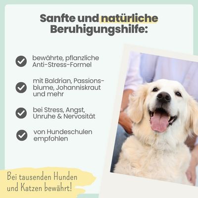 Wohlfühlmix für Hunde & Katzen bei Stress & Angst