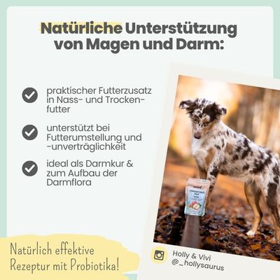 Verdauungsmix für Hunde bei Sodbrennen, Pfotenlecken & Kotfressen