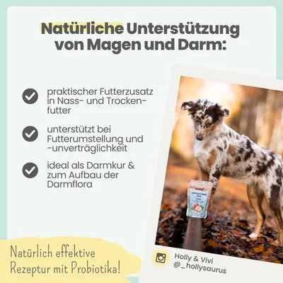 Verdauungsmix für Hunde bei Sodbrennen, Pfotenlecken & Kotfressen Verdauungsmix für Hunde bei Sodbrennen, Pfotenlecken & Kotfressen