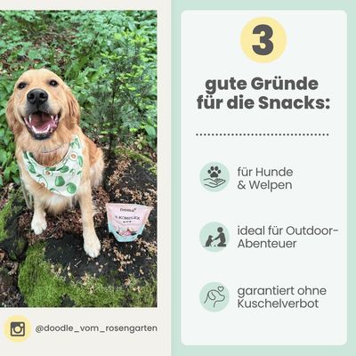 Z-Komplex für Hunde