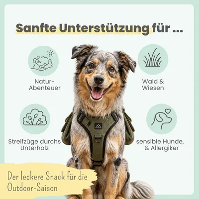 Z-Komplex für Hunde