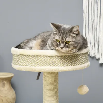 PawHut Kratzbaum PawHut Kratzbaum
