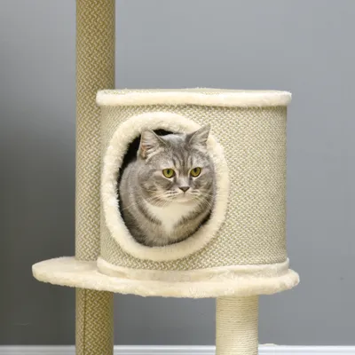 PawHut Kratzbaum PawHut Kratzbaum