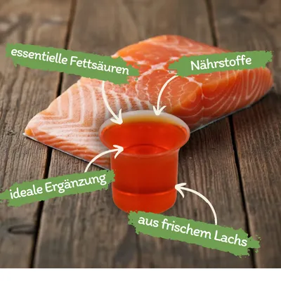 Lecker.Pet Barfer's Solution 100 % Lachsöl für Hunde & Katzen