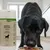 Lecker.Pet Barfer's Solution Complete Universal Nährstoff Pulver für Hunde