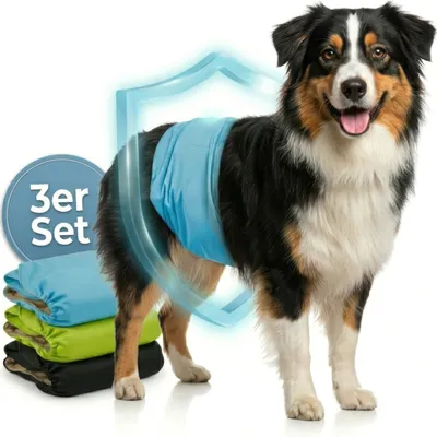HUND IST KÖNIG waschbare Hundewindeln für Rüden (3 Stk), saugstark & bequem HUND IST KÖNIG waschbare Hundewindeln für Rüden (3 Stk), saugstark & bequem