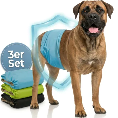 HUND IST KÖNIG waschbare Hundewindeln für Rüden (3 Stk), saugstark & bequem HUND IST KÖNIG waschbare Hundewindeln für Rüden (3 Stk), saugstark & bequem