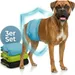 HUND IST KÖNIG waschbare Hundewindeln für Rüden (3 Stk), saugstark & bequem