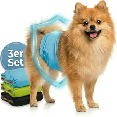 HUND IST KÖNIG waschbare Hundewindeln für Rüden (3 Stk), saugstark & bequem HUND IST KÖNIG waschbare Hundewindeln für Rüden (3 Stk), saugstark & bequem