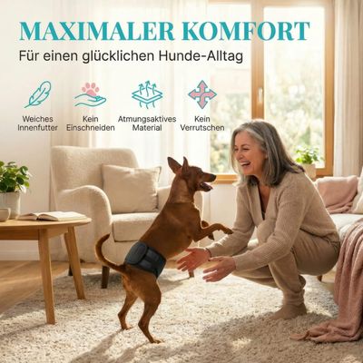 HUND IST KÖNIG waschbare Hundewindeln für Rüden (3 Stk), saugstark & bequem