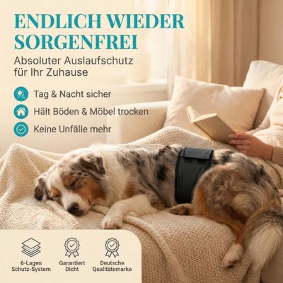 HUND IST KÖNIG waschbare Hundewindeln für Rüden (3 Stk), saugstark & bequem