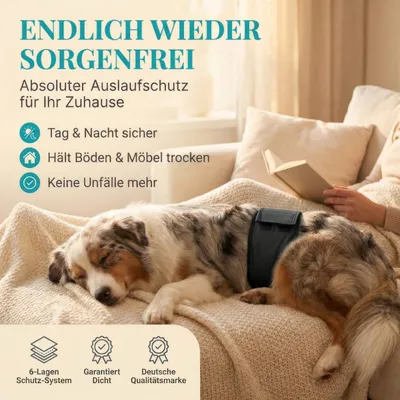 HUND IST KÖNIG waschbare Hundewindeln für Rüden (3 Stk), saugstark & bequem HUND IST KÖNIG waschbare Hundewindeln für Rüden (3 Stk), saugstark & bequem