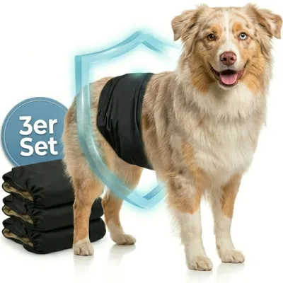 HUND IST KÖNIG waschbare Hundewindeln für Rüden (3 Stk), saugstark & bequem HUND IST KÖNIG waschbare Hundewindeln für Rüden (3 Stk), saugstark & bequem