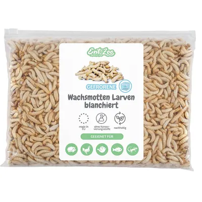 EntoZoo gefrorene Wachsmotten Larven EntoZoo gefrorene Wachsmotten Larven