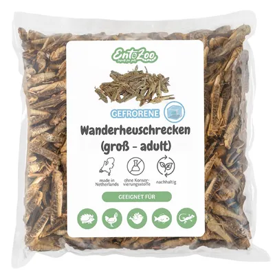 EntoZoo gefrorene Wachsmotten Larven EntoZoo gefrorene Wachsmotten Larven