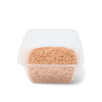 EntoZoo lebende Pinky Maden (Goldfliege) EntoZoo lebende Pinky Maden (Goldfliege)