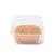 EntoZoo lebende Pinky Maden (Goldfliege) EntoZoo lebende Pinky Maden (Goldfliege)