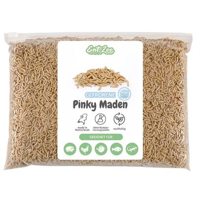 EntoZoo gefrorene Pinky Maden (Goldfliege)